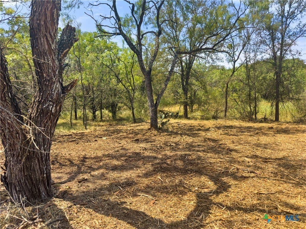 0.2 acres in Llano County - photo 11