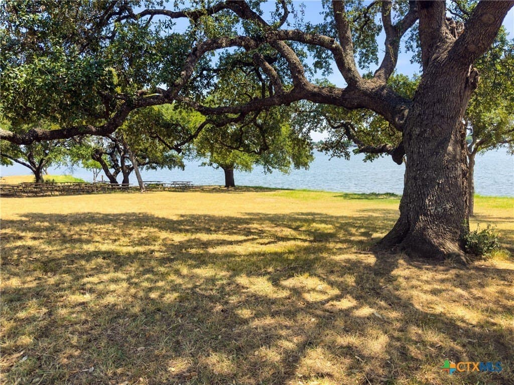 0.2 acres in Llano County - photo 15