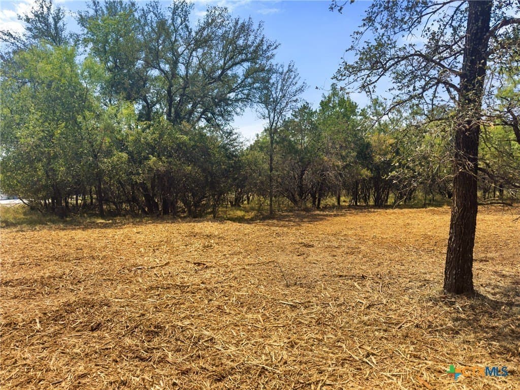 0.2 acres in Llano County - photo 5