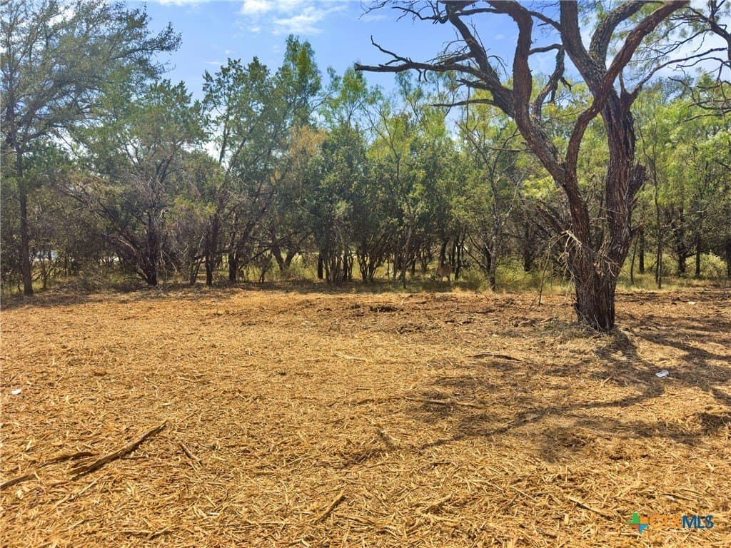 0.2 acres in Llano County - photo 9
