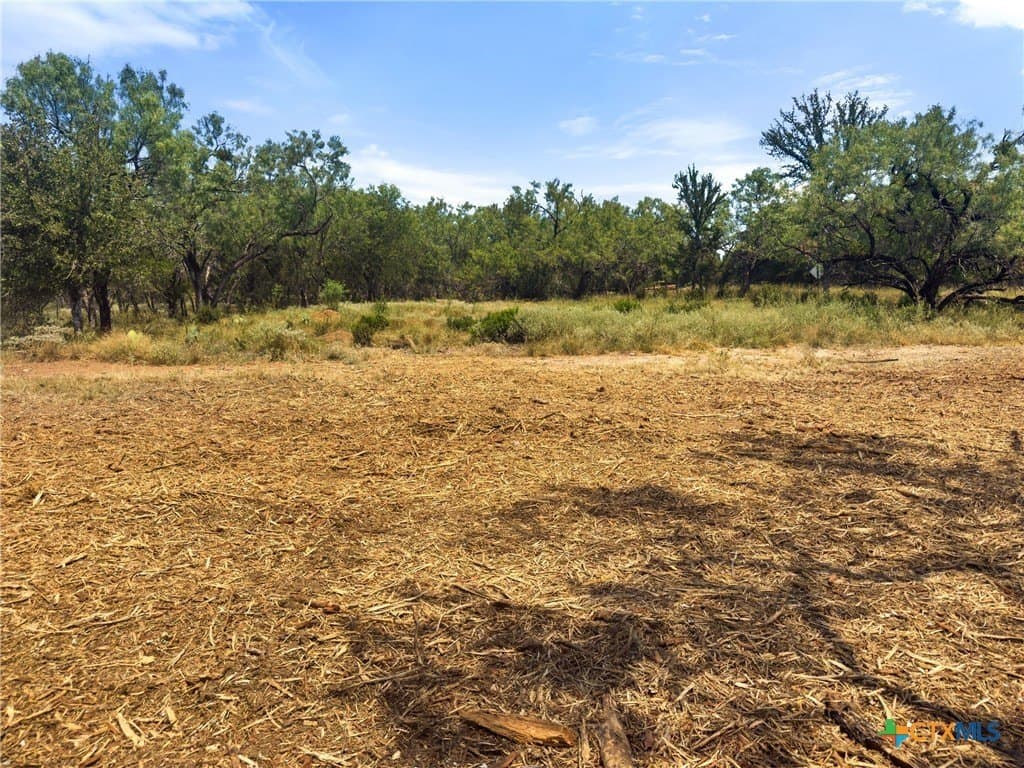 0.2 acres in Llano County - photo 13