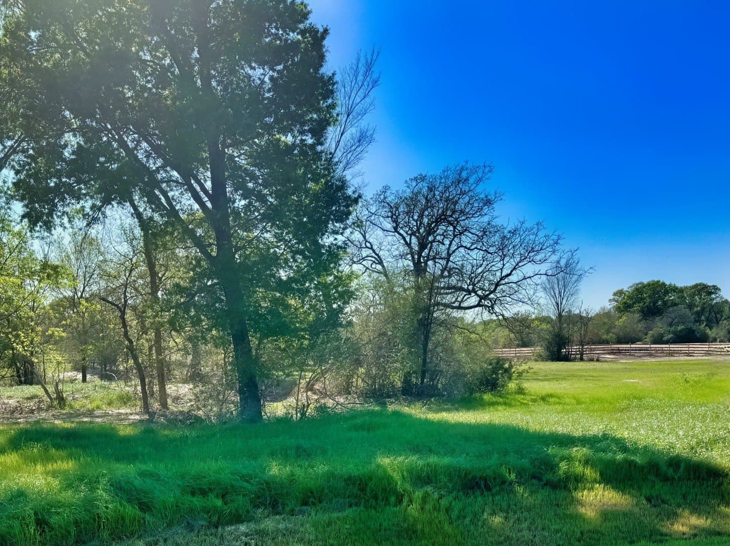 10273 Panther Creek Drive
