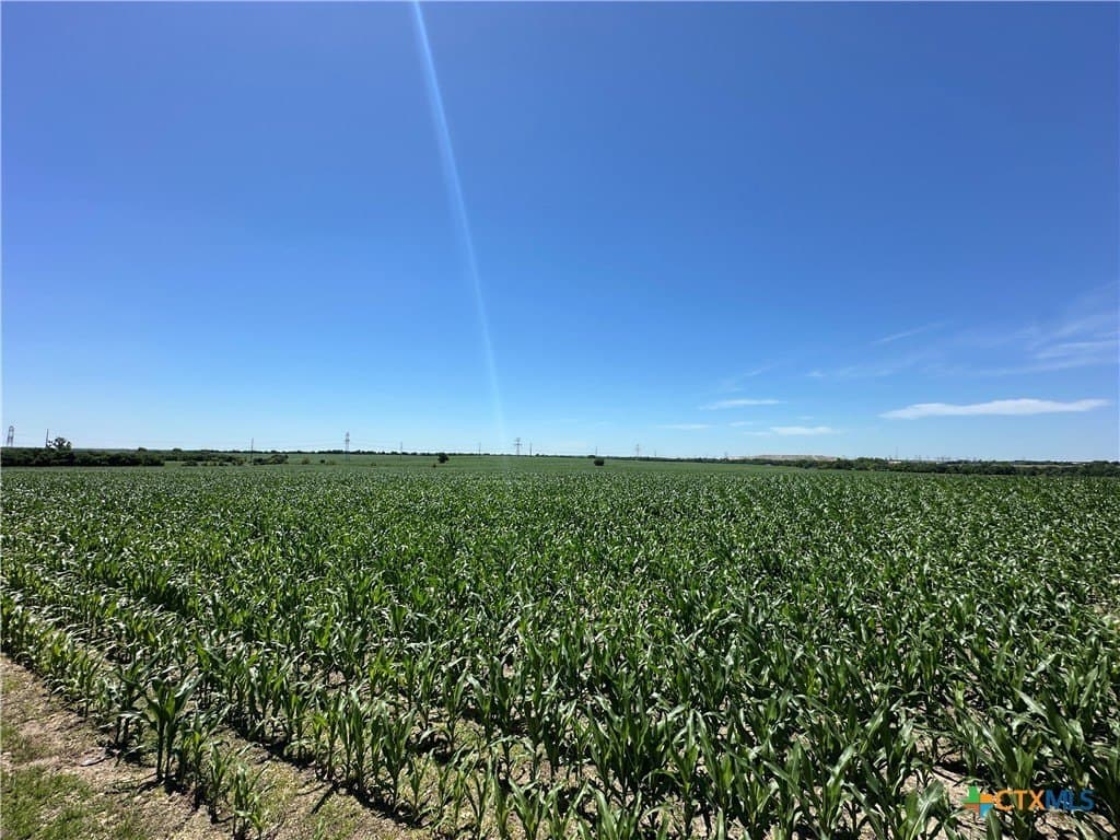 22 acres in Bell County - photo 18