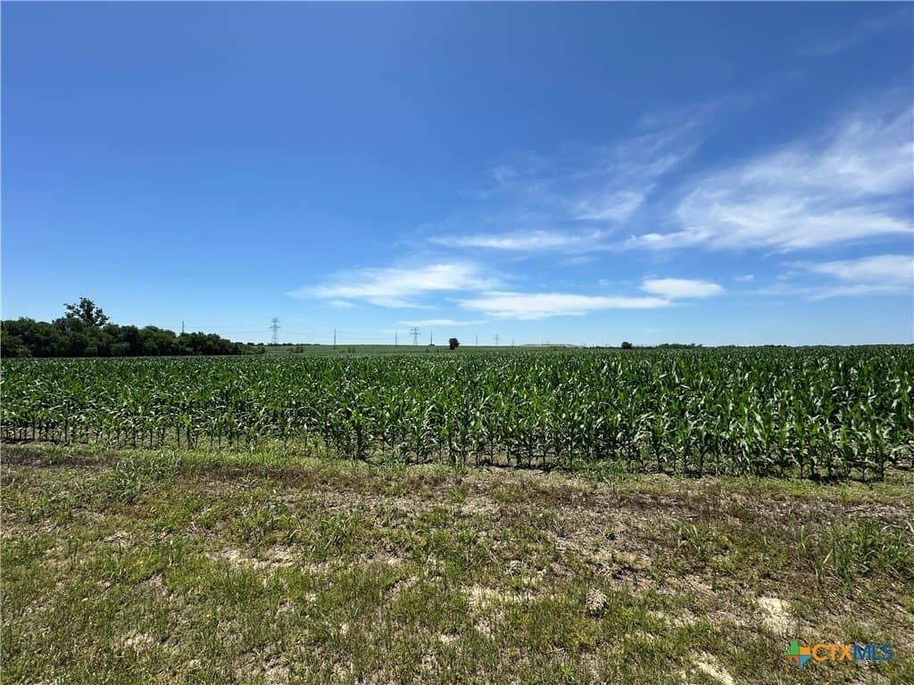 22 acres in Bell County - photo 16