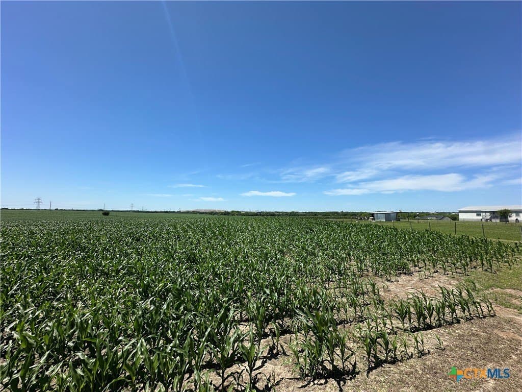 22 acres in Bell County - photo 19