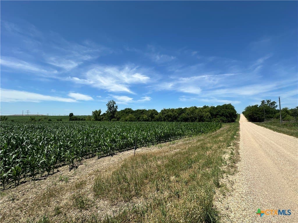 22 acres in Bell County - photo 9