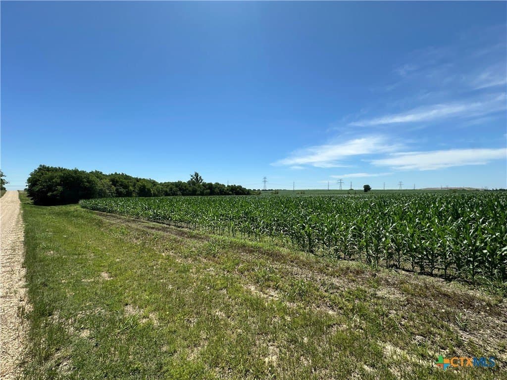 22 acres in Bell County - photo 15
