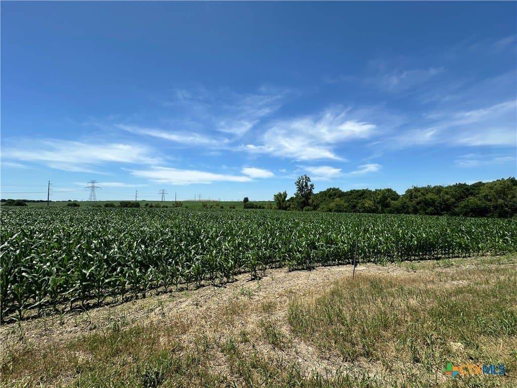 22 acres in Bell County - photo 17