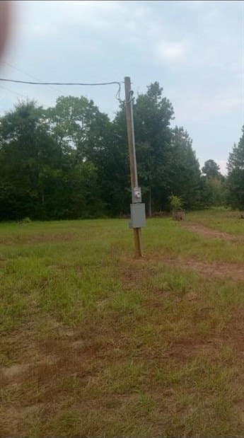 22 acres in Cass County - photo 4