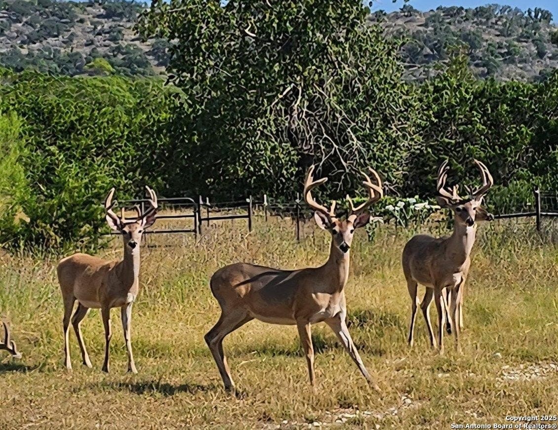 17.58 acres in Bandera County - photo 60