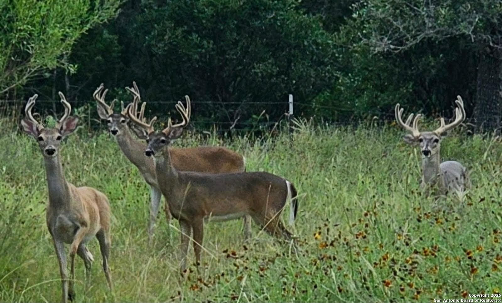 17.58 acres in Bandera County - photo 61