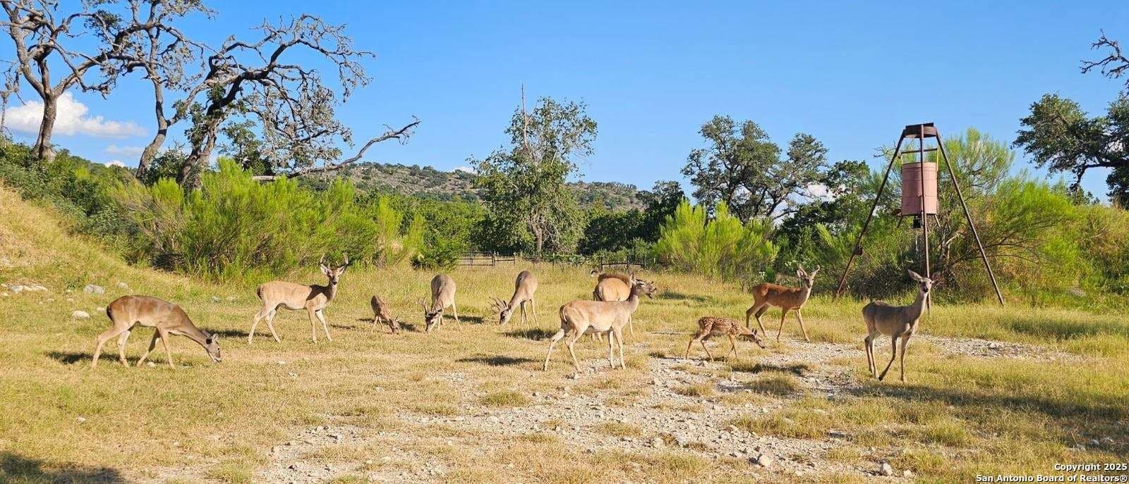 17.58 acres in Bandera County - photo 62