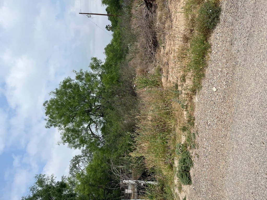 10,454 acres in Maverick County - photo 10