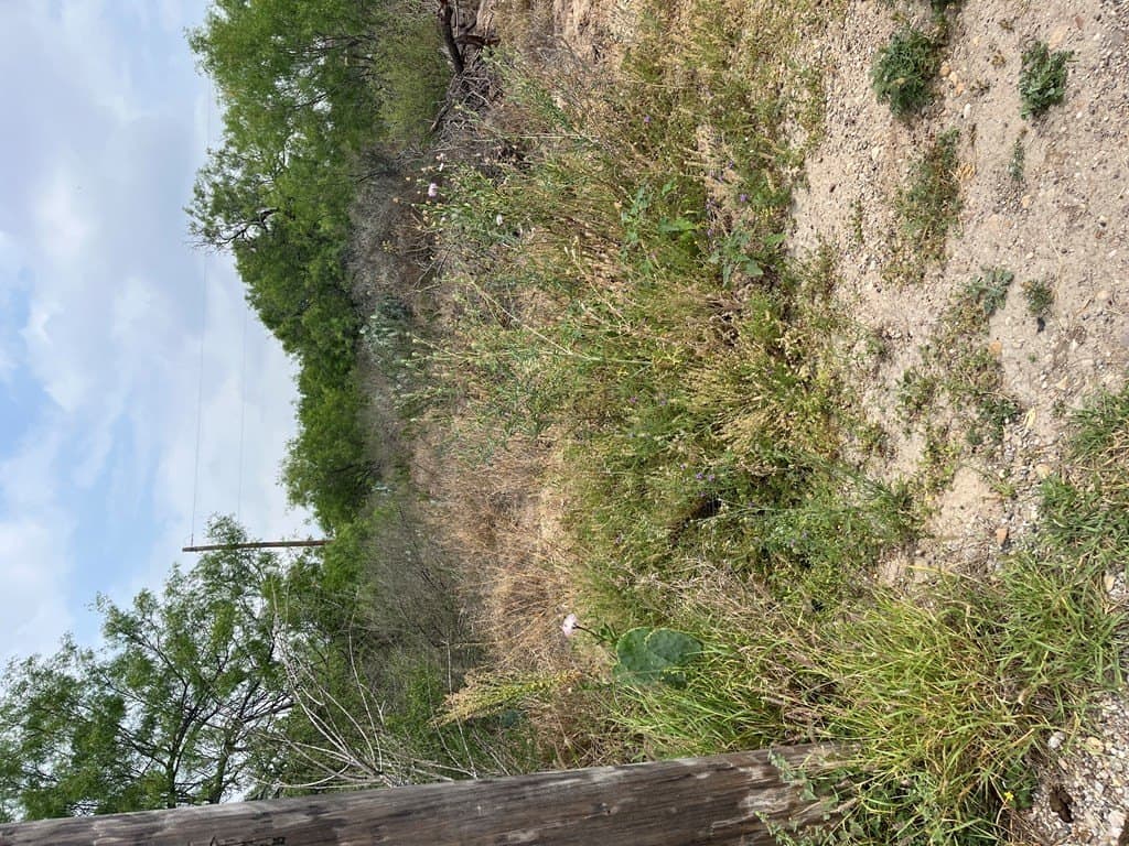 10,454 acres in Maverick County - photo 12