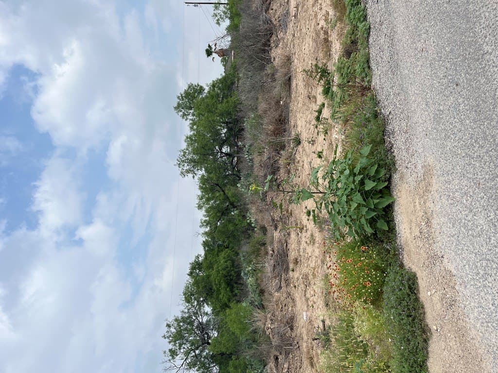 10,454 acres in Maverick County - photo 6