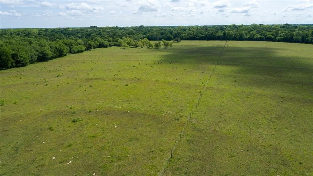 118.31 acres in Franklin (TX) County - photo 8