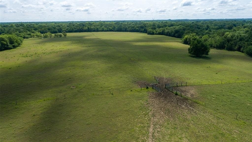 118.31 acres in Franklin (TX) County - photo 13