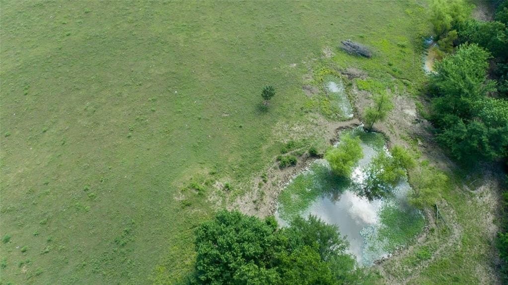118.31 acres in Franklin (TX) County - photo 4