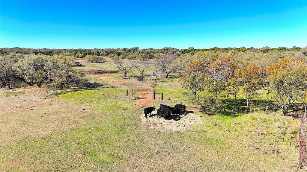 5 acres in Palo Pinto County - photo 4