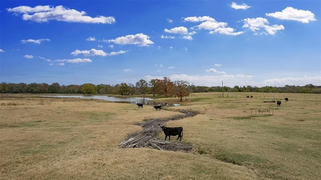 43 acres in Hopkins County - photo 9