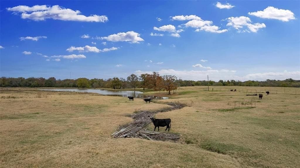 43 acres in Hopkins County - photo 14