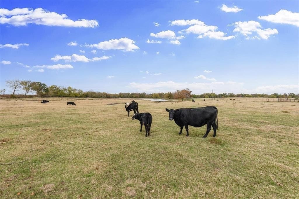 43 acres in Hopkins County - photo 7