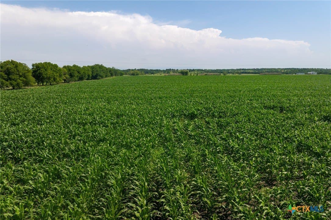 10.37 acres in Williamson County - photo 14