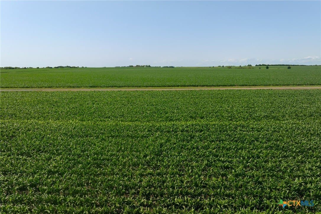 10.37 acres in Williamson County - photo 17
