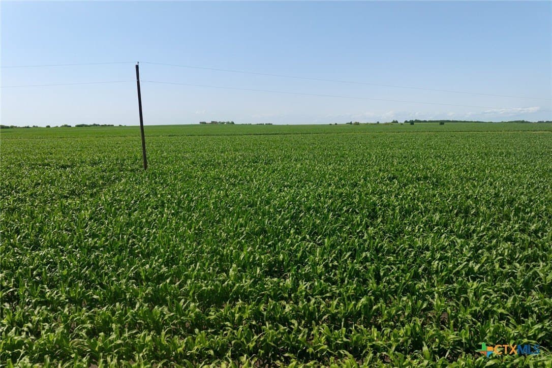 10.37 acres in Williamson County - photo 16