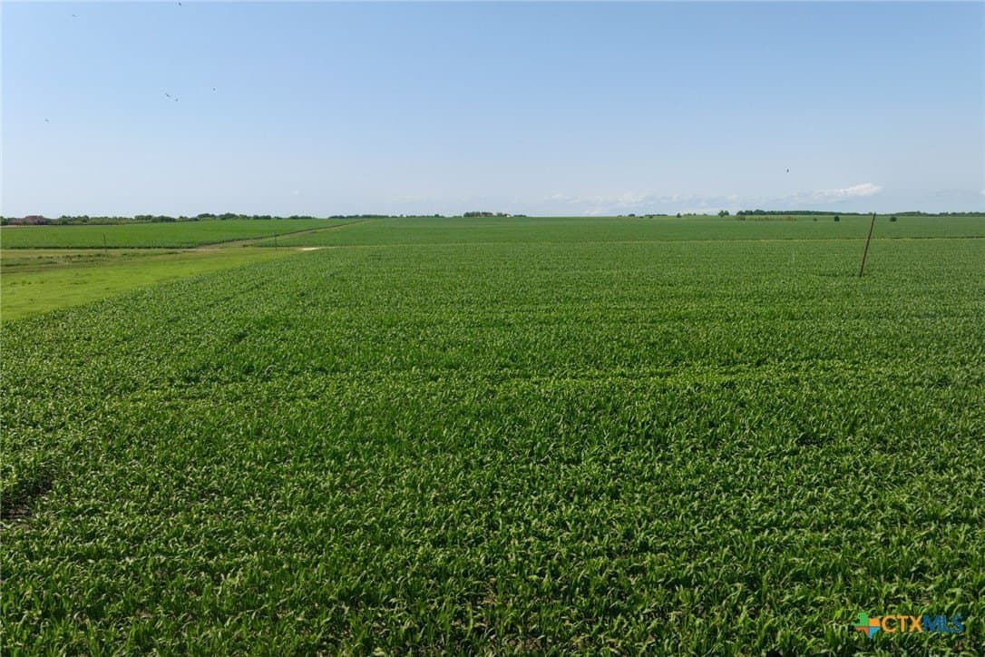 10.37 acres in Williamson County - photo 15
