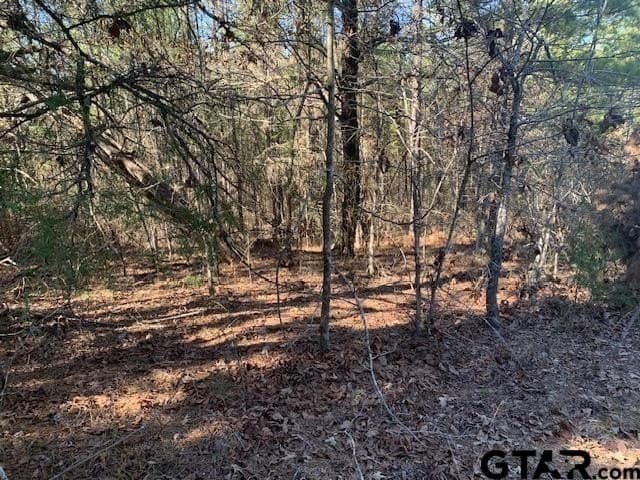 54.58 acres in Smith County - photo 4