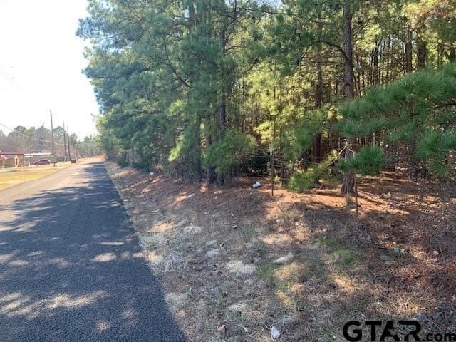 54.58 acres in Smith County - photo 5
