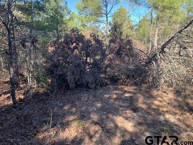 54.58 acres in Smith County - photo 7