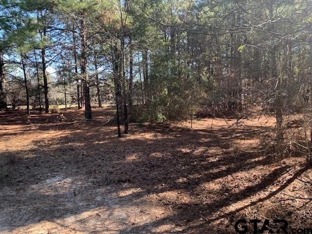 54.58 acres in Smith County - photo 10