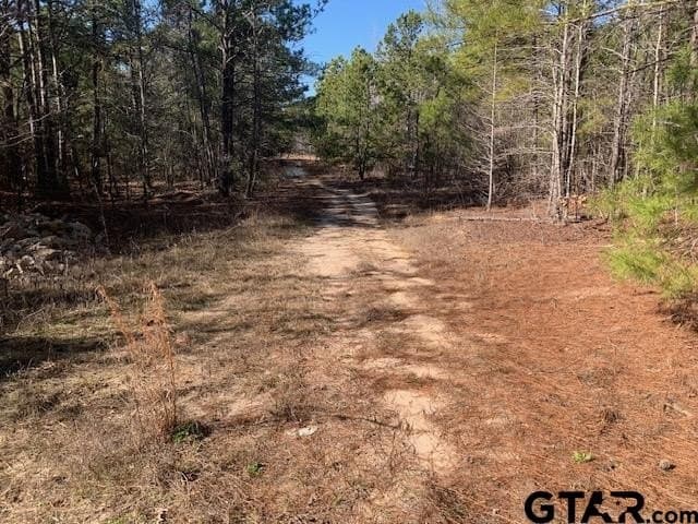 54.58 acres in Smith County - photo 9