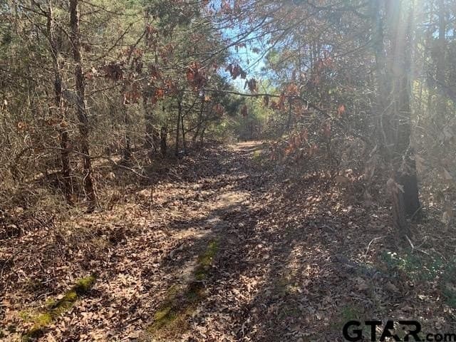 54.58 acres in Smith County - photo 6