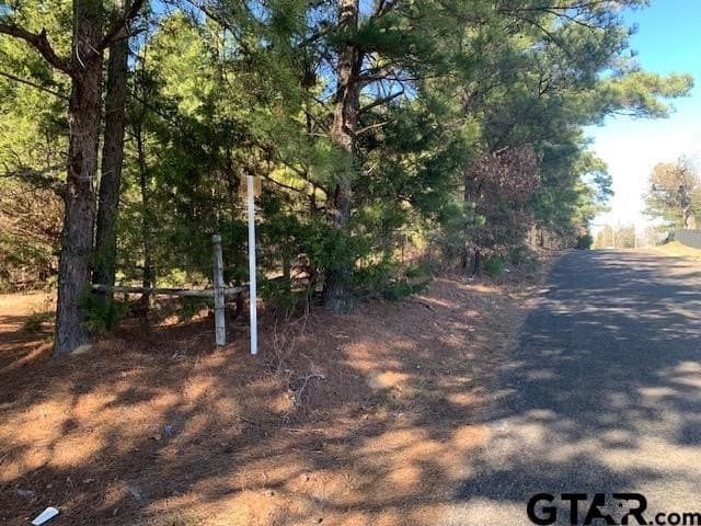 54.58 acres in Smith County - photo 3