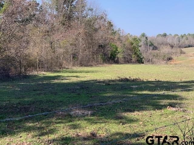 54.58 acres in Smith County - photo 13