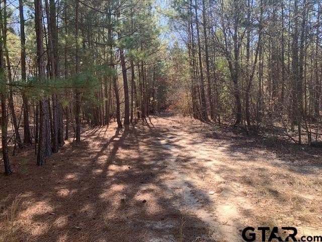 54.58 acres in Smith County - photo 8