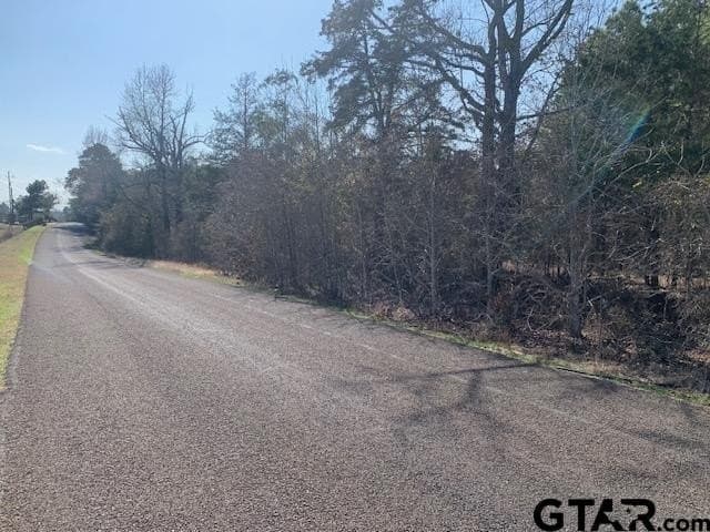 54.58 acres in Smith County - photo 12