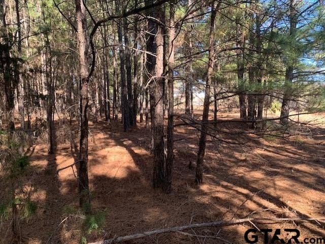 54.58 acres in Smith County - photo 11