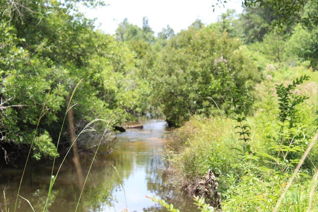 33.04 acres in Texas County - photo 16