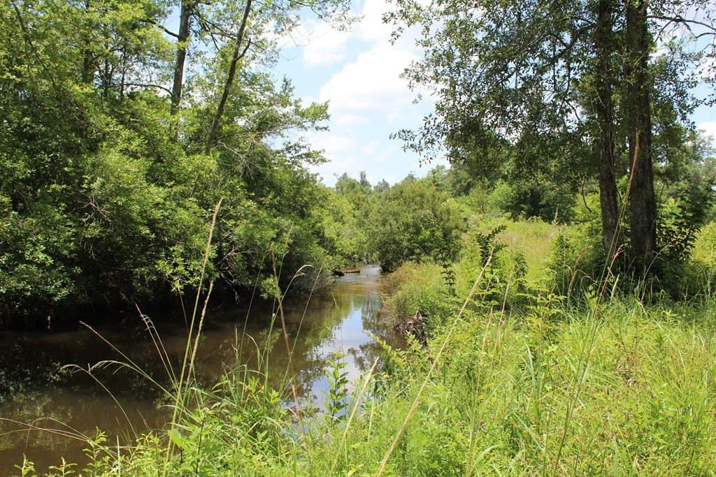 33.04 acres in Texas County - photo 17