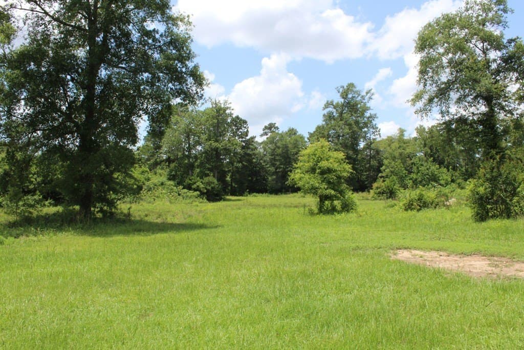 33.04 acres in Texas County - photo 19