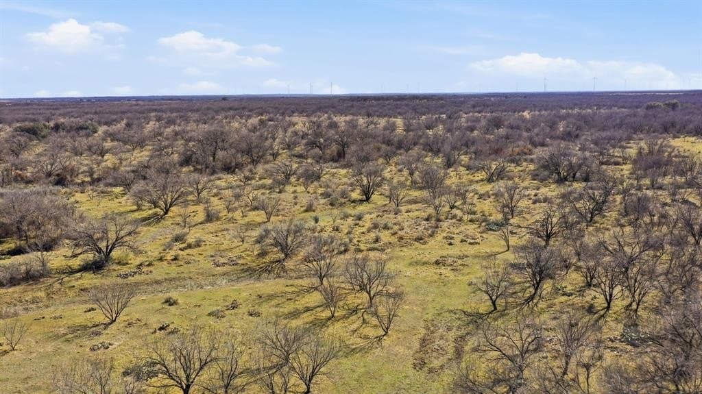 37 acres in Shackelford County - photo 19