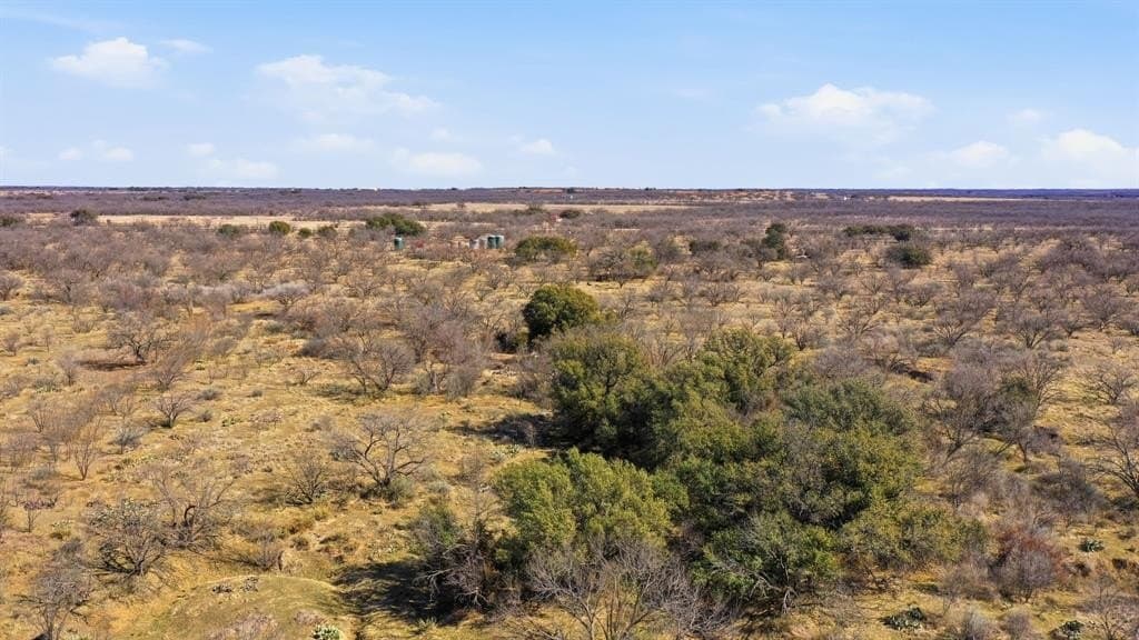 37 acres in Shackelford County - photo 5