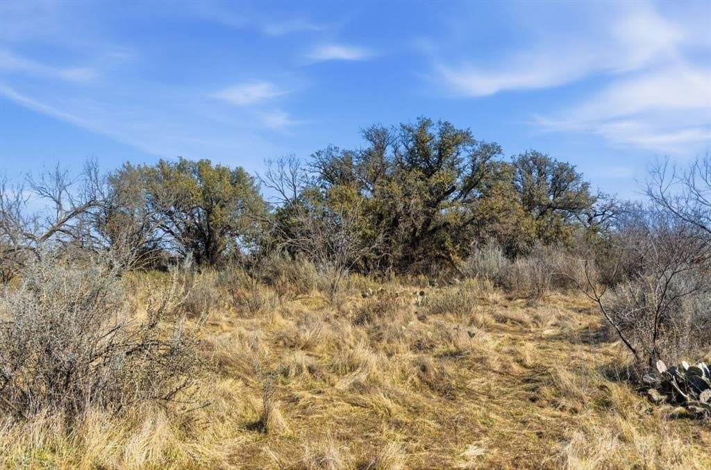37 acres in Shackelford County - photo 7