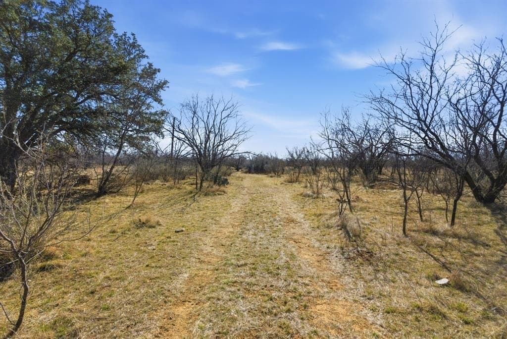 37 acres in Shackelford County - photo 2