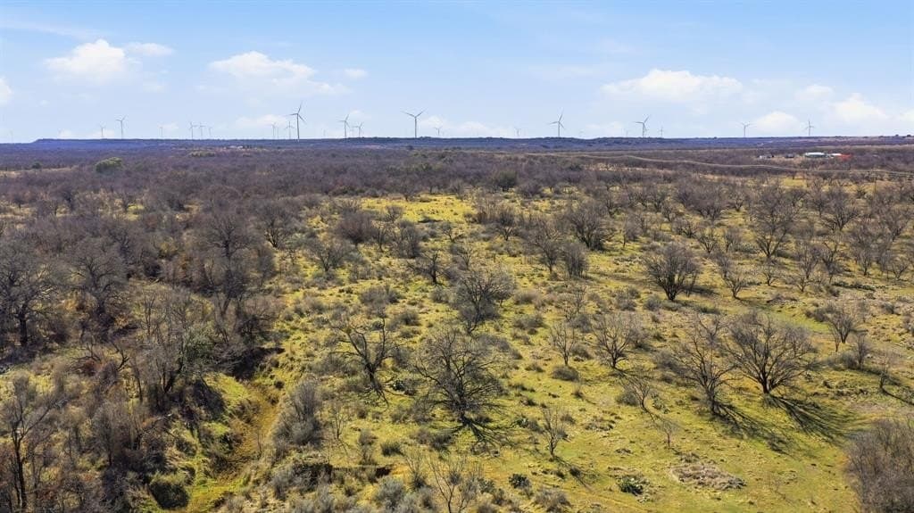 37 acres in Shackelford County - photo 4