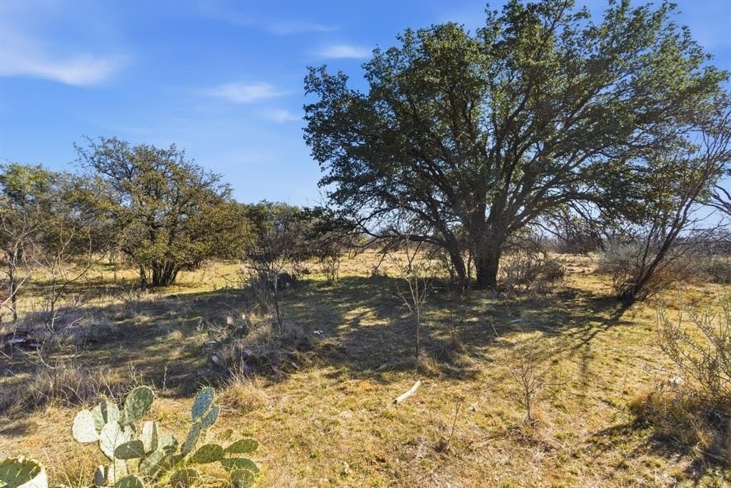 37 acres in Shackelford County - photo 3